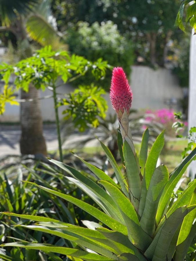 Buzios Houseヴィラ エクステリア 写真